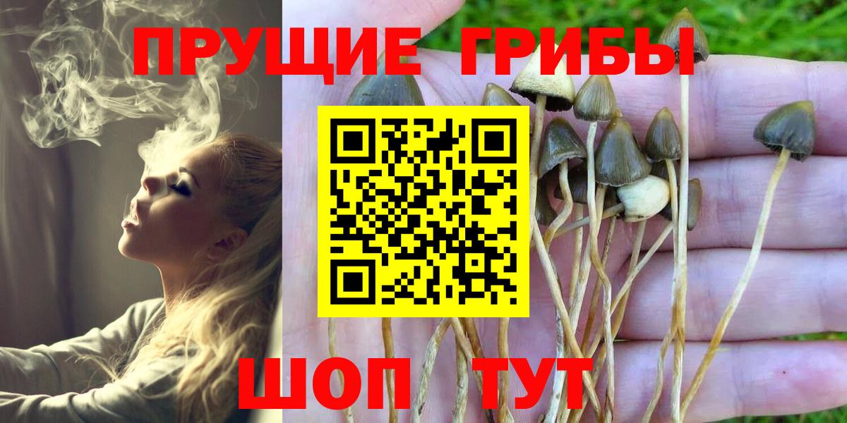 Галлюциногенные грибы ЛСД Шебекино
